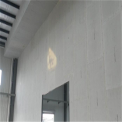 龙马潭宁波ALC板|EPS加气板隔墙与混凝土整浇联接的实验研讨